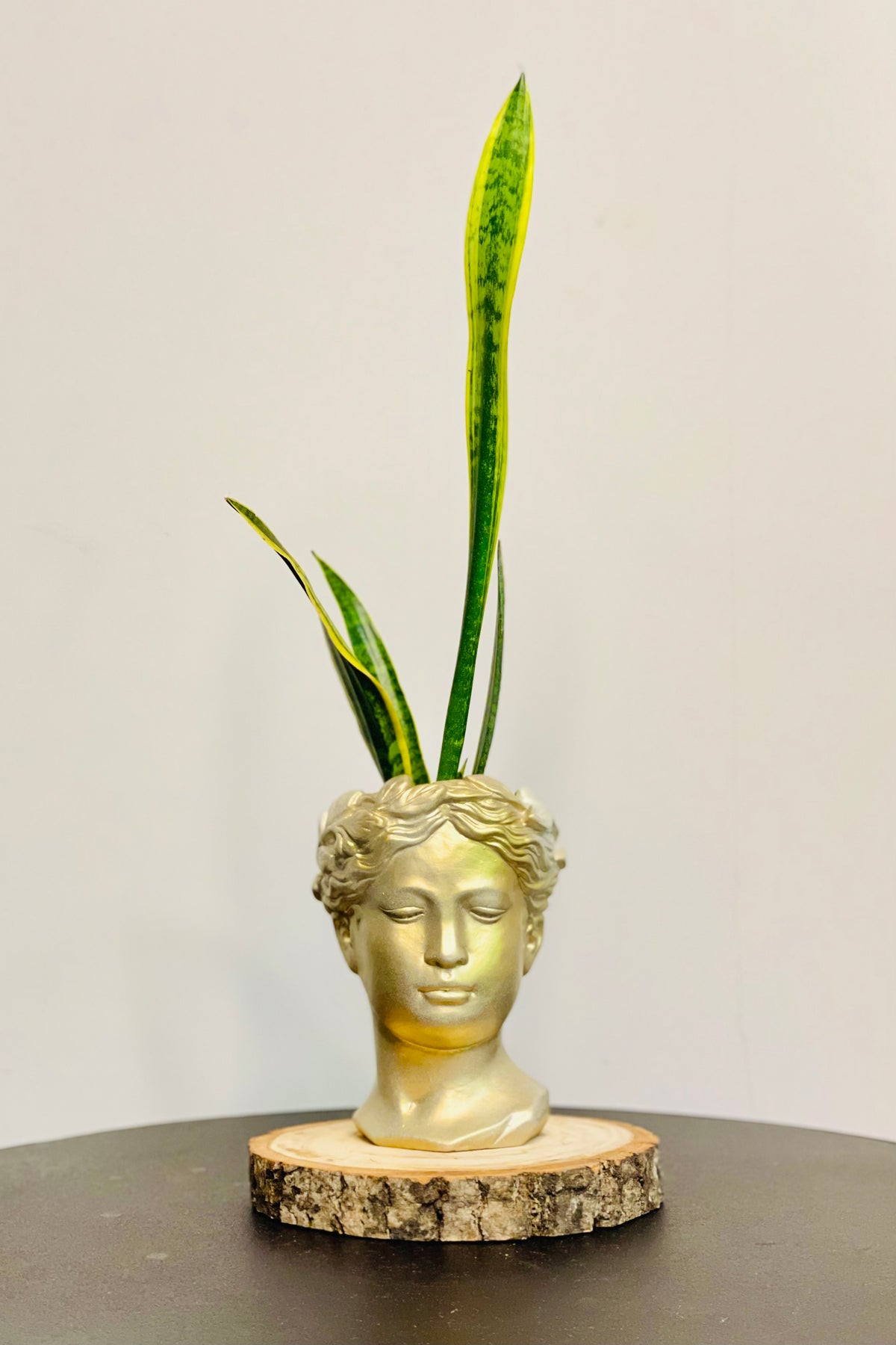 Golden Goddess Planter