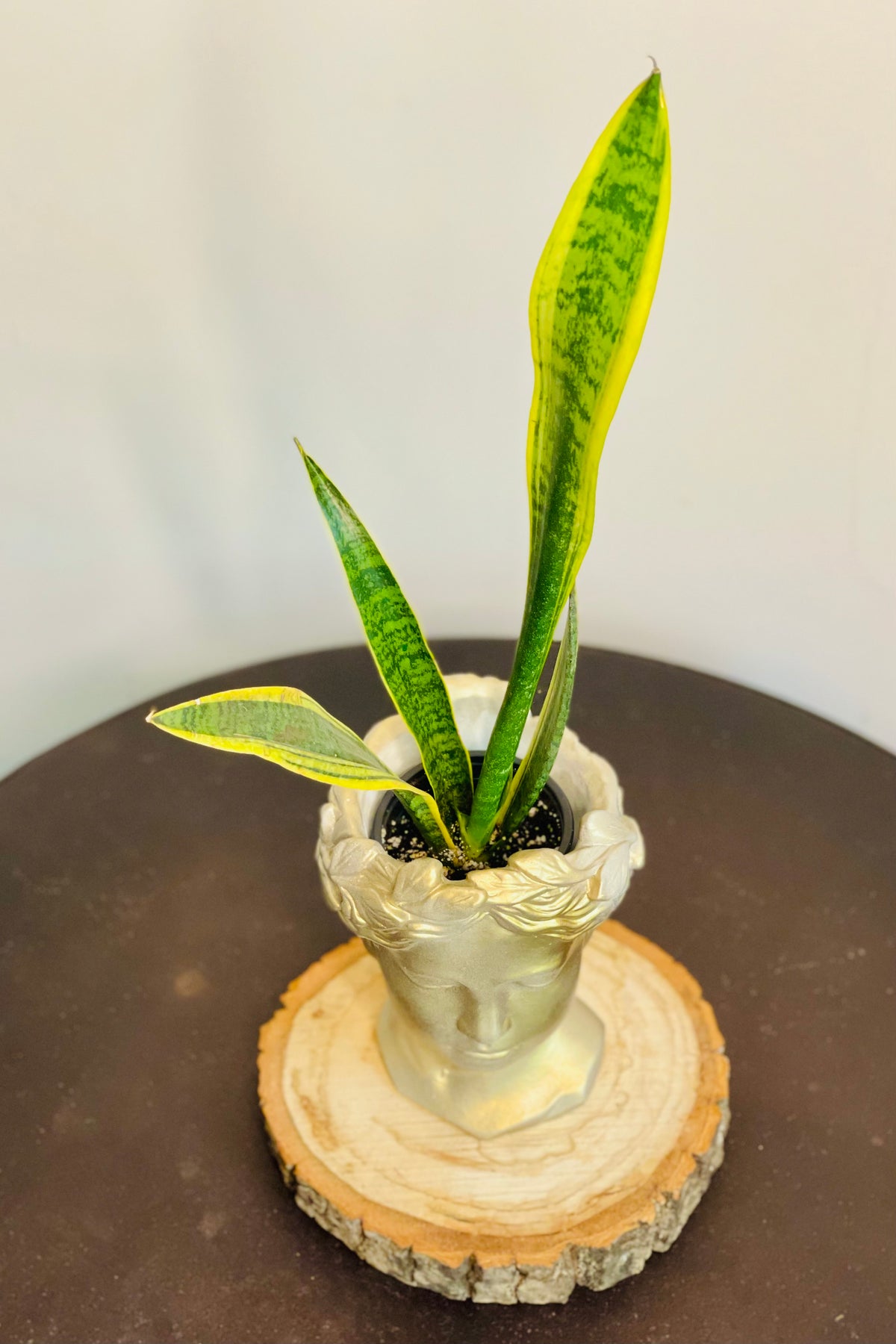 Golden Goddess Planter