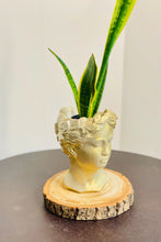 Load image into Gallery viewer, Golden Goddess Planter
