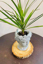 Load image into Gallery viewer, Pewter Goddess Planter