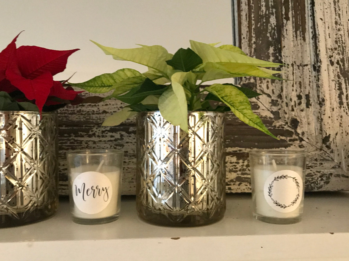 Merry Tea Lights, Balsam Fir & Pine Needle Scent ~ antiviral properties of defense
