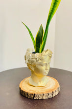 Load image into Gallery viewer, Golden Goddess Planter
