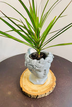 Load image into Gallery viewer, Pewter Goddess Planter
