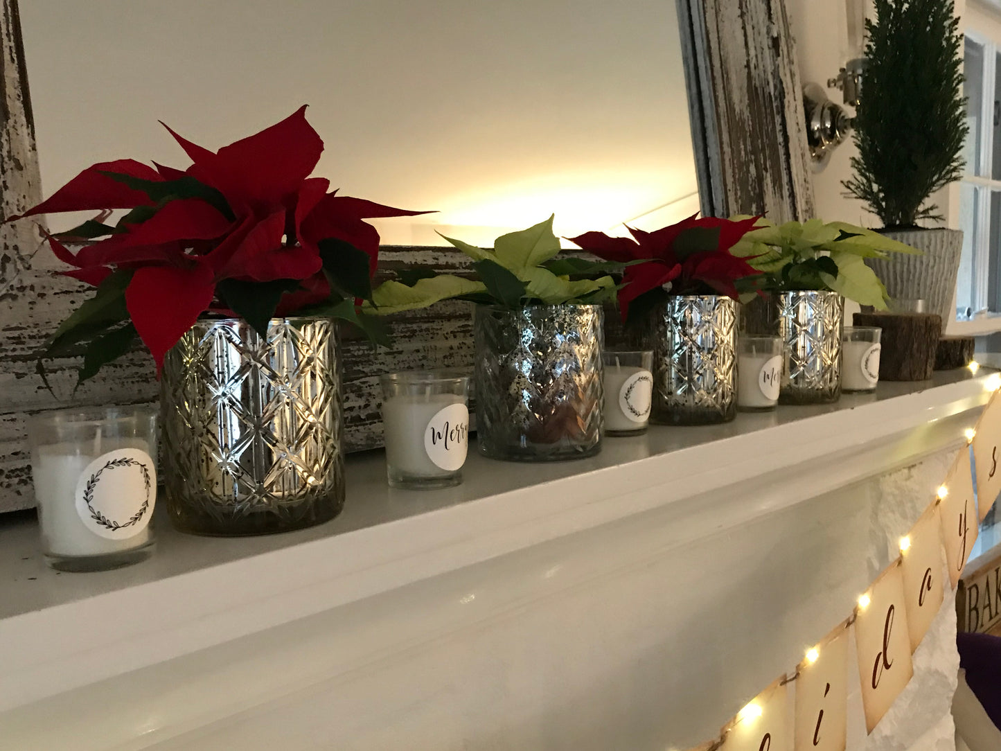 Merry Tea Lights, Balsam Fir & Pine Needle Scent ~ antiviral properties of defense
